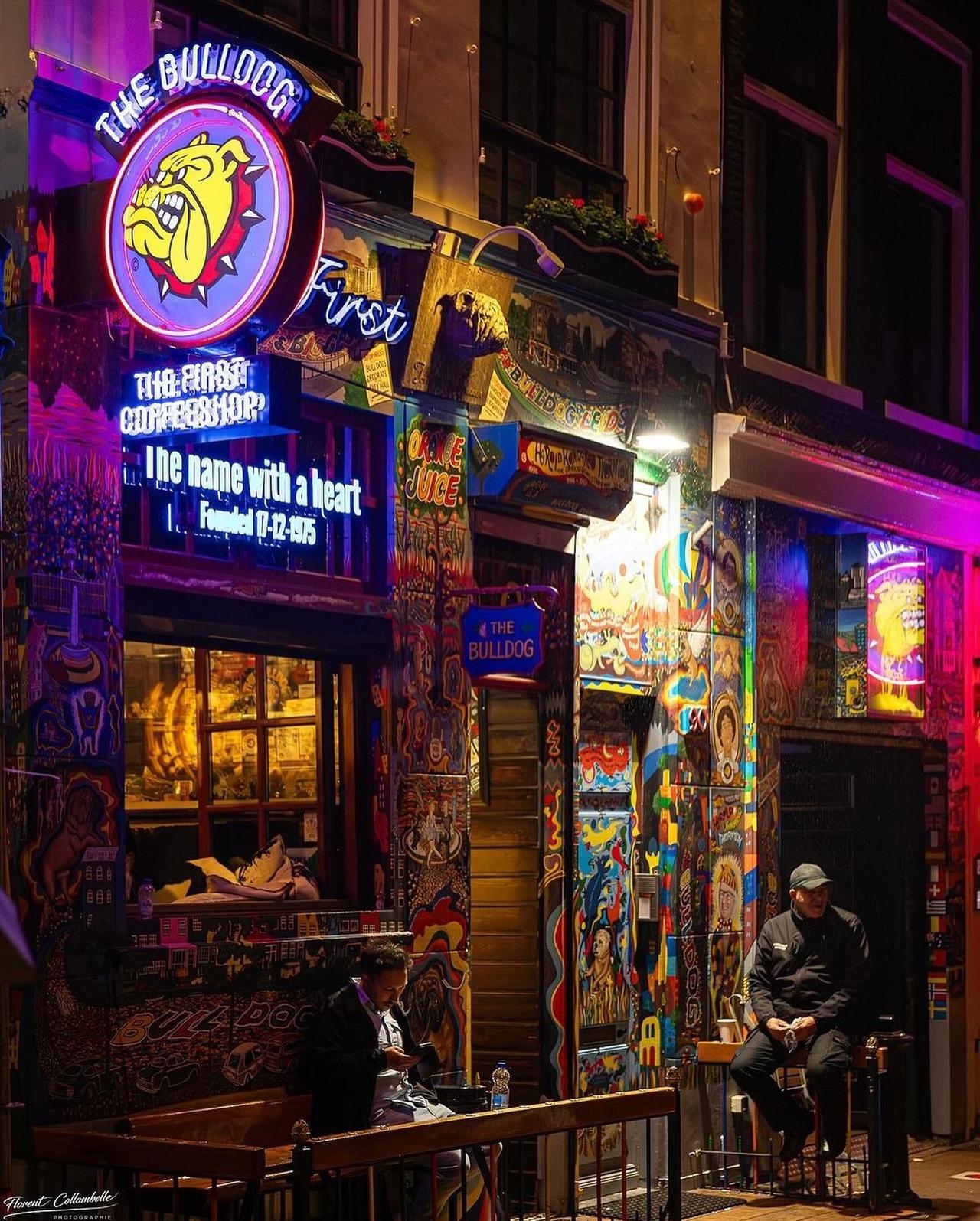 The Bulldog The First illuminated at night in central Amsterdam